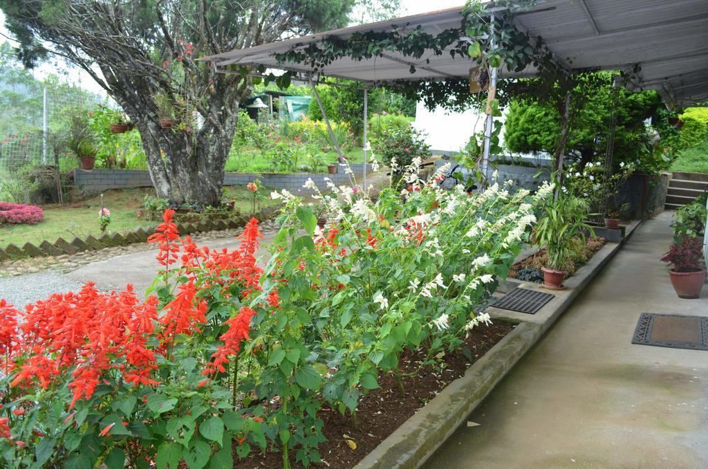 Rheinberg Town Haus Hotel Munnar Bagian luar foto