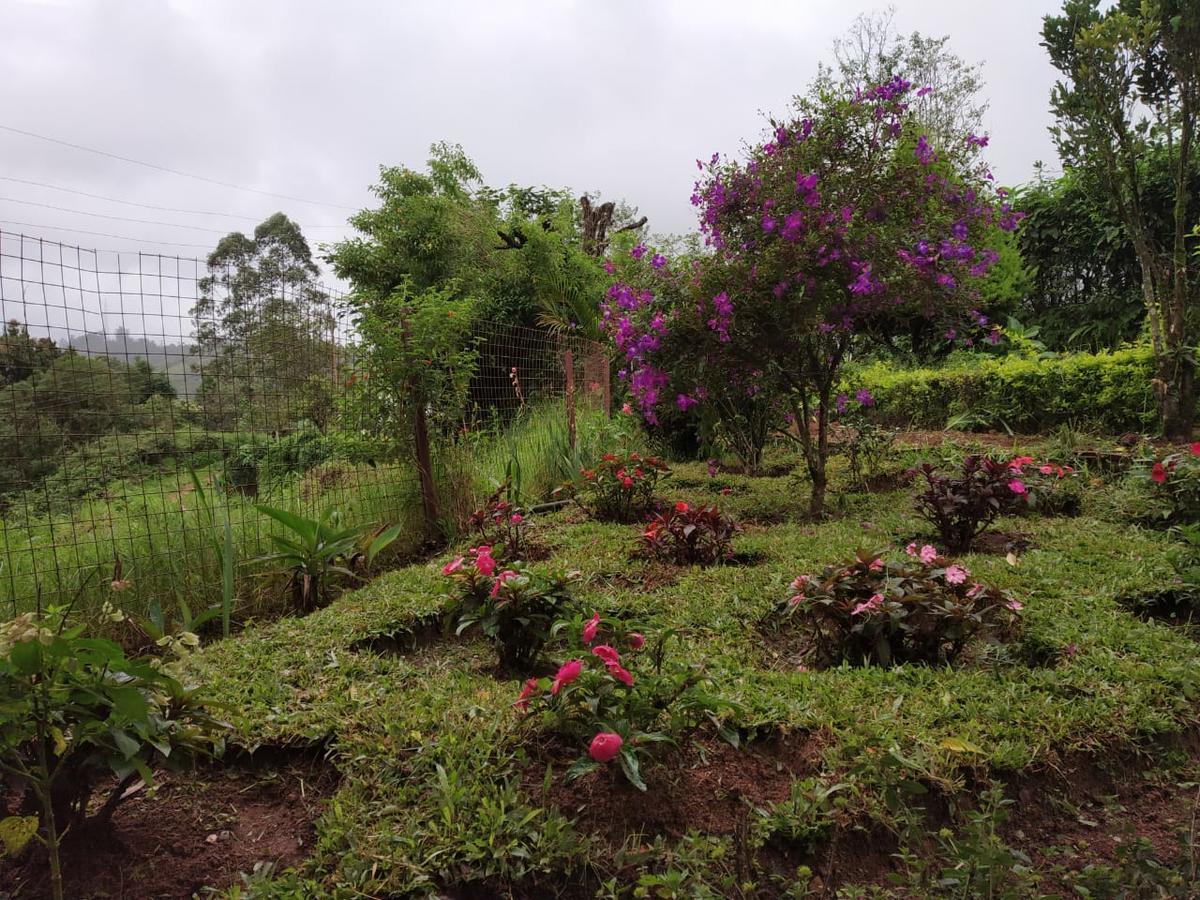 Rheinberg Town Haus Hotel Munnar Bagian luar foto